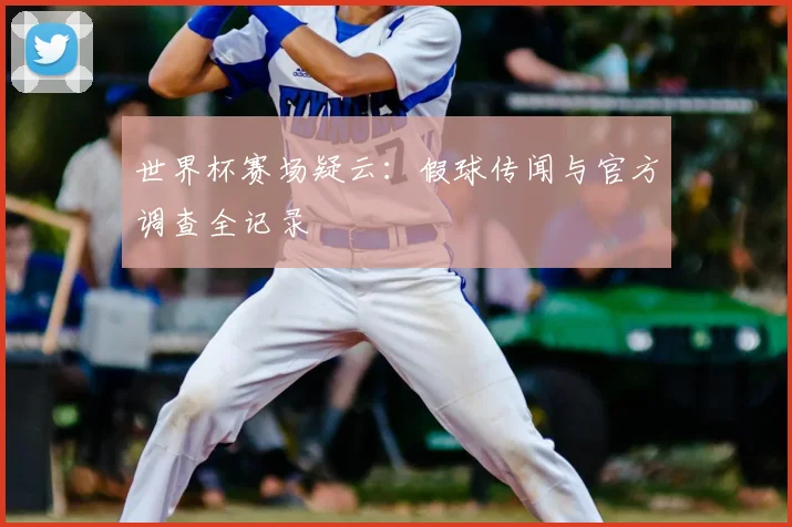 世界杯赛场疑云：假球传闻与官方调查全记录