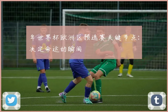 年世界杯欧洲区预选赛关键节点：决定命运的瞬间